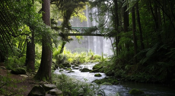 Backpacking through the Nth Island NZ